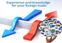 Foreign Trade Consultants